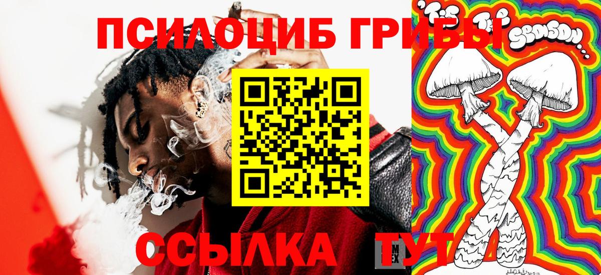 Чистополь  Галлюциногенные грибы мухоморы  Вход с VPN 